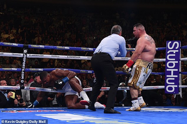Anthony hits the canvas against Ruiz