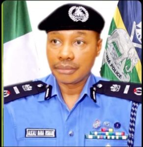 Ag IGP Baba Usman Alkali