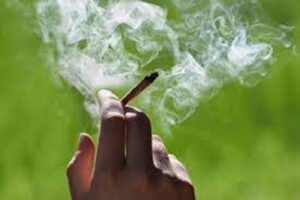 Gwagwalada market traders cry out against marijuana smokers