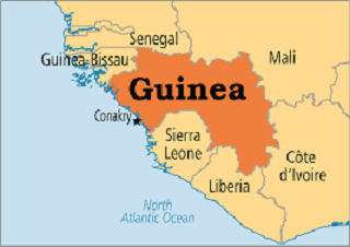 guinea