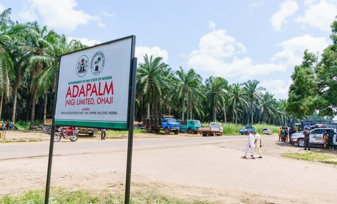 ADAPALM Imo state and Roche Group
