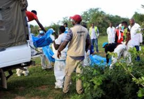 Kenya police exhume remains of suspected followers of a Christian cult from shallow graves in Kilifi Forensic experts and homicide detectives from the Directorate of Criminal Investigations (DCI), sort exhumed bodies of suspected followers of a Christian cult named Good News International Church, who believed that they would go to heaven if they starved themselves to death, in Shakahola forest of Kilifi county, Kenya May 11, 2023. REUTERS/Stringer