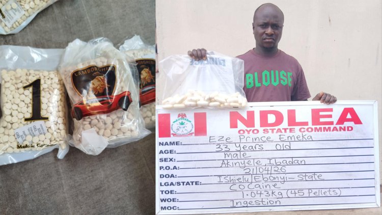 Businessman excretes 45 pellets of cocaine en route Sokoto to Algeria